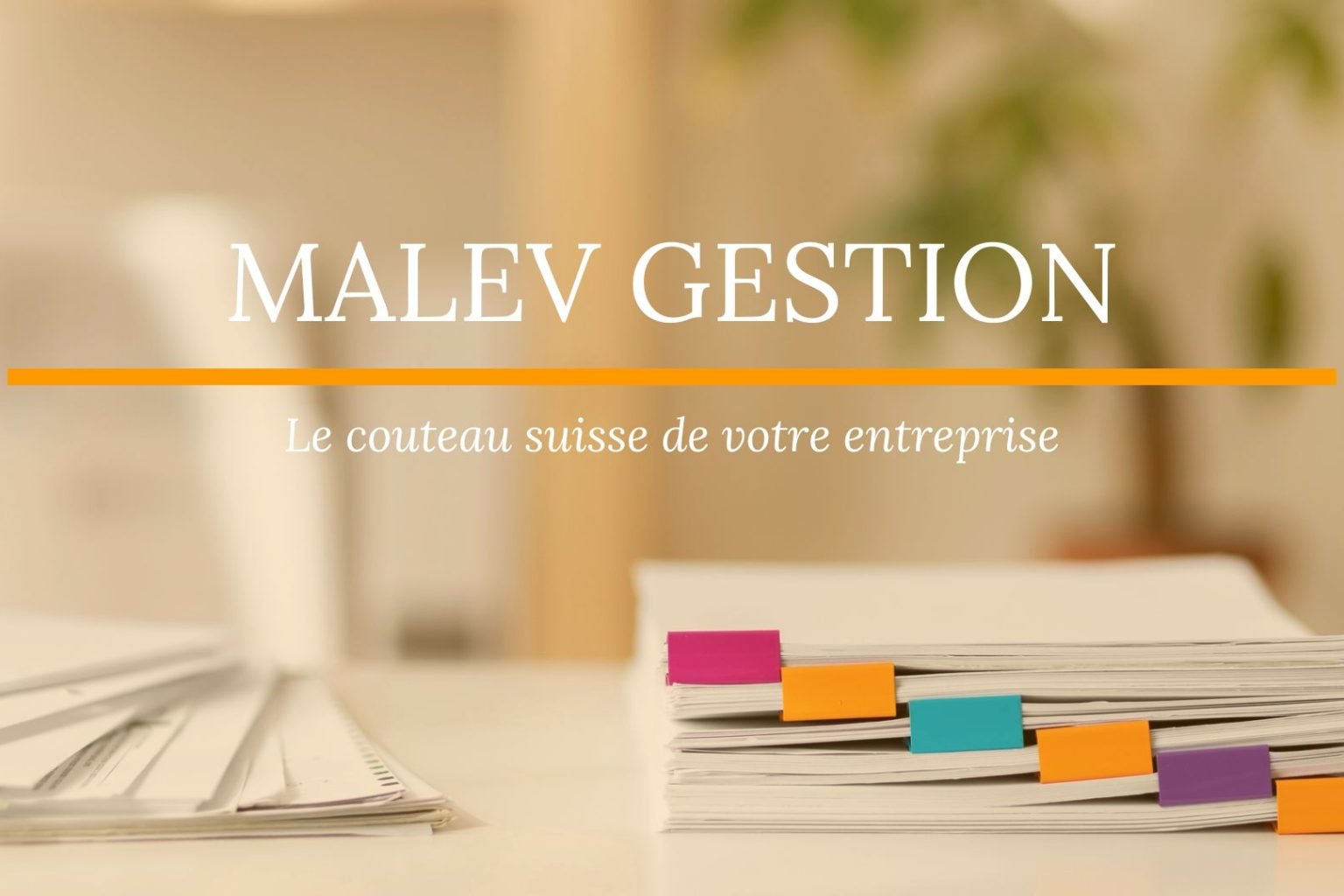 Malev site accueil